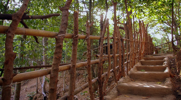 Pamulaklakin Forest Trail