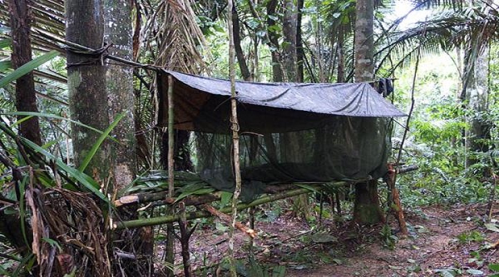 JEST Camp